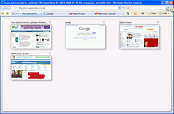 IE7 vignettes 2