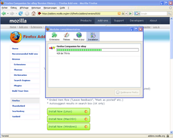 eBay Firefox 3