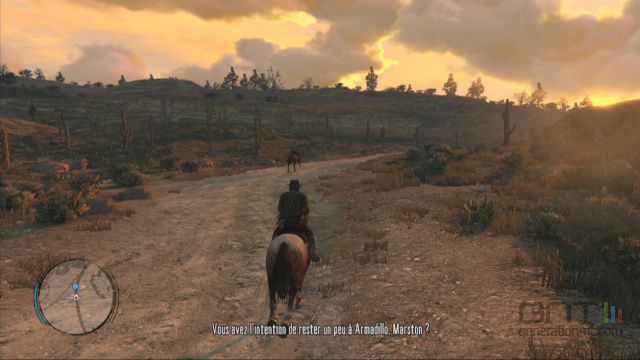 Red Dead Redemption (9)