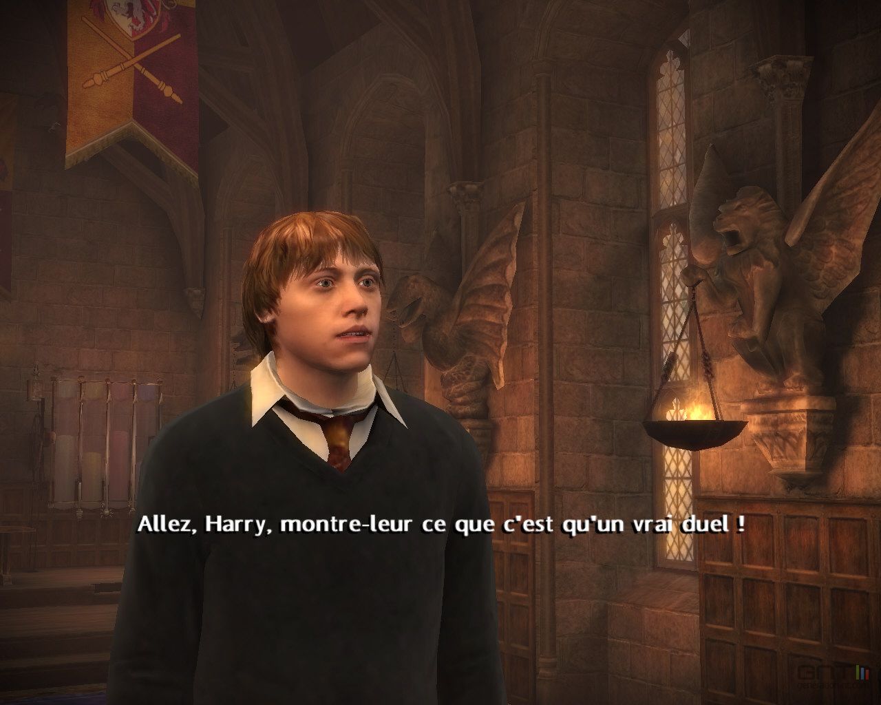 Harry Potter Prince Sans MelÃ© (14)