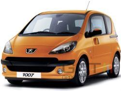 1007 small 1007 small