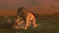 Afrika 12