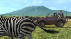 Afrika 3