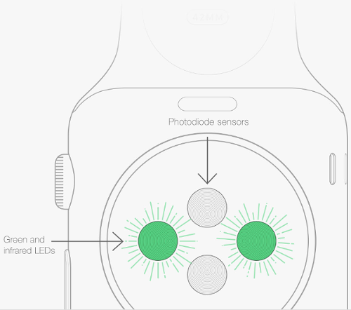 Apple-Watch-capteurs