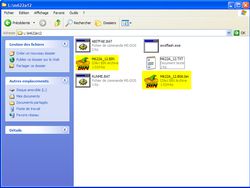 Bios files