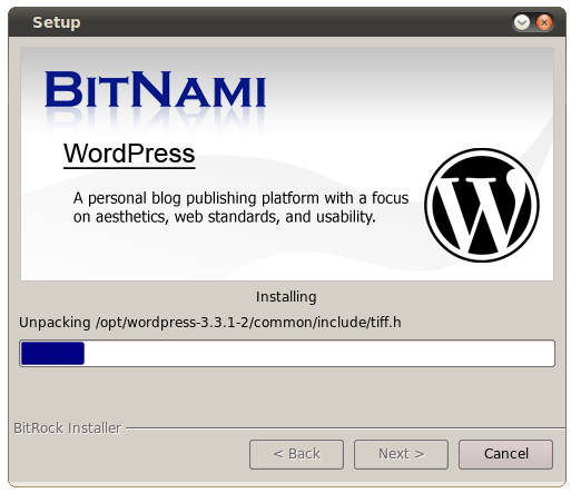 Bitnami Wordpress screen1