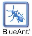 Blueant logo small