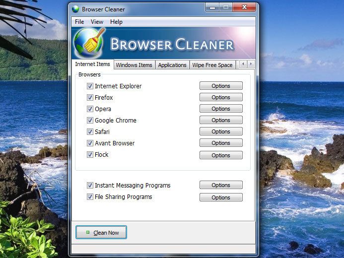 Browser Cleaner screen1