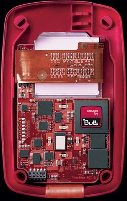 bull_globull_2