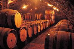 Cave vin