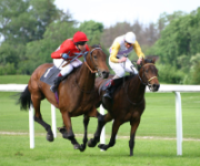 Course_hippique