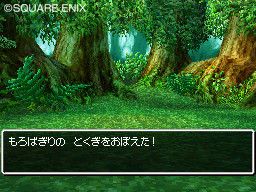 Dragon Quest VI : Realms of Reverie - 44