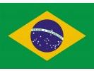 Drapeau Brésil (Small)