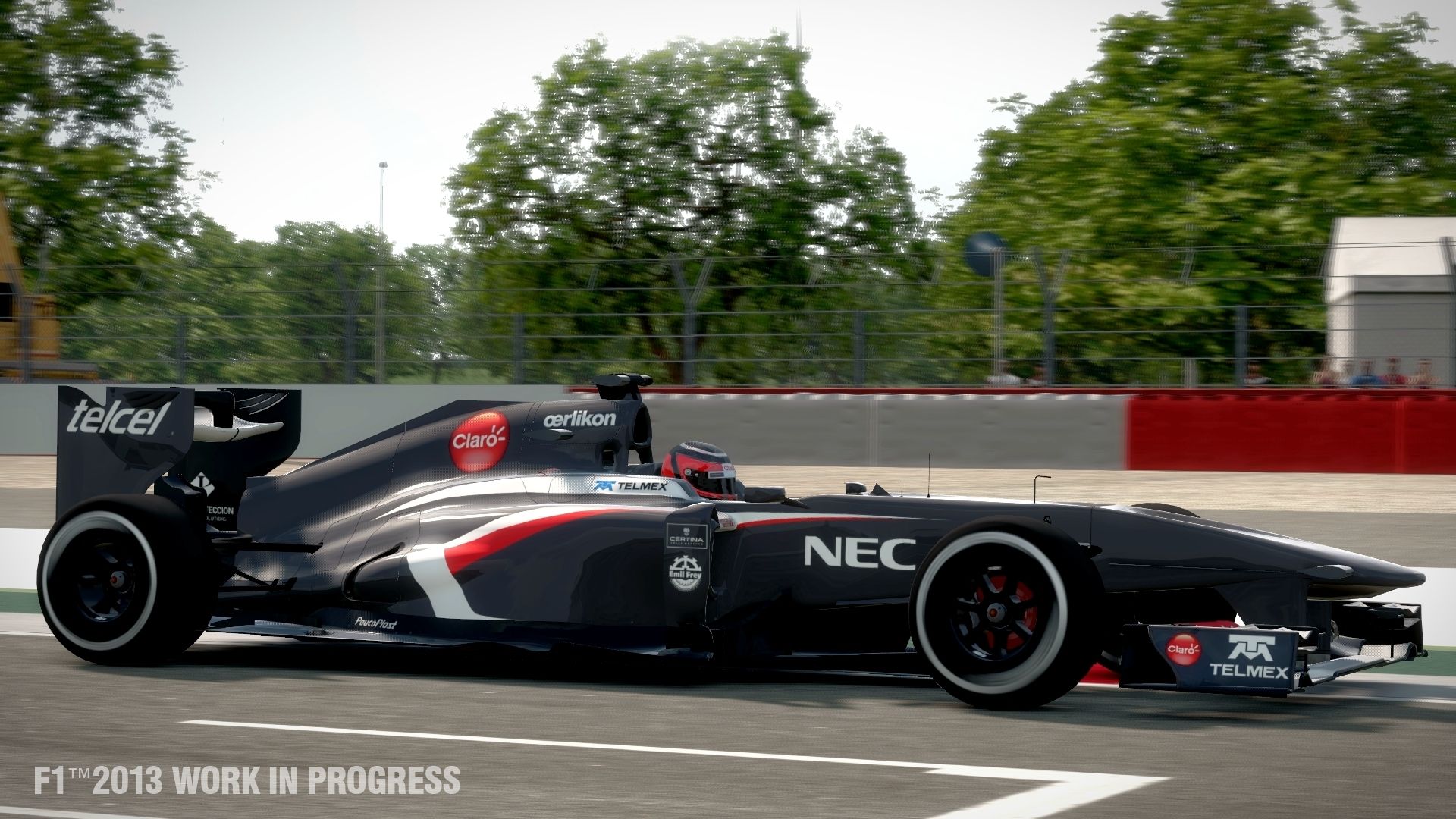 F1 2013 - 13