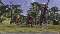 final_fantasy_XI_0000005