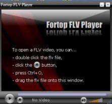 Fortop FLV Player screen2