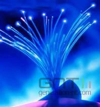 Ftth Ftth