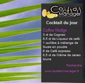Gadget Coktail Manager 1