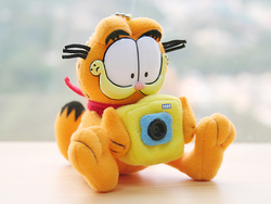 garfield