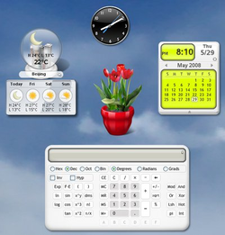 Google_Gadgets_Linux