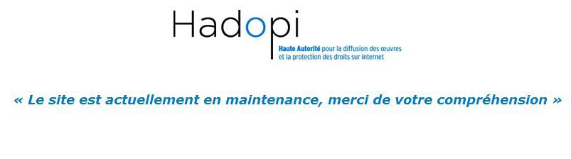 Hadpi.fr-ddos