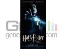 Harry potter ordre phoenix poster small