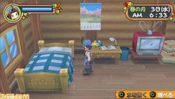 Harvest Moon : Sugar Village 4