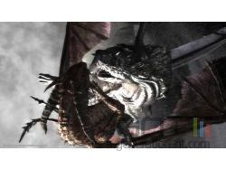 Lair small