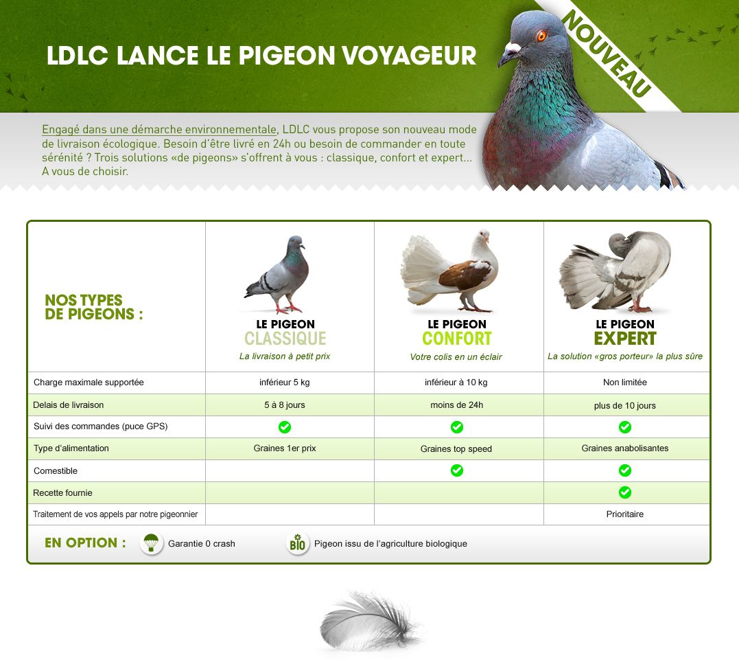 LDLC pigeons voyageurs (1)