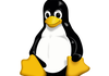 Pourquoi l'adoption de Linux progresse-t-elle en 2020 ?