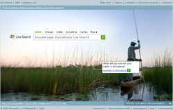 Live_Search_Page_Accueil