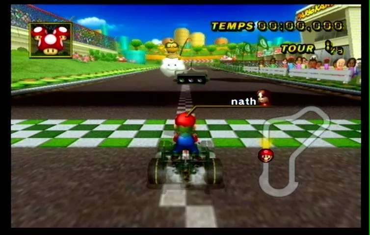 Mario Kart Wii (45)