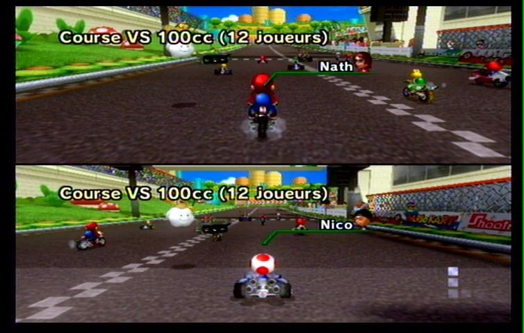 Mario Kart Wii (60)