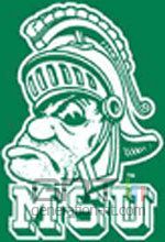 Michigan state university Michigan state university