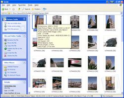 Microsoft RAW Image Thumbnailer and Viewer screen