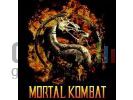 Mortal kombat logo small