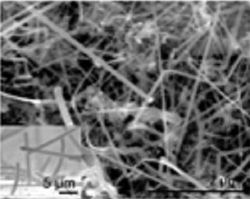 nanofils silicium