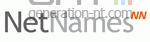 Netnames logo Netnames logo