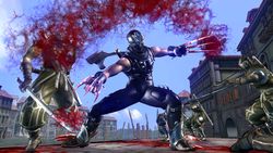 Ninja Gaiden II 3