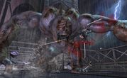 Ninja Gaiden II 9 Ninja Gaiden II 9