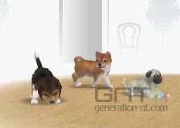 Nintendogs Nintendogs