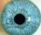 Oeil Oeil