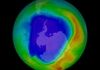 Un étrange trou dans la couche d'ozone au-dessus de l'Arctique