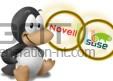 Novell Novell