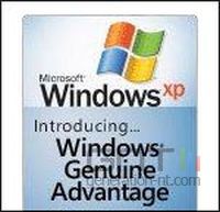 Activation Windows Xp Contrefacon Collier Activation Windows Xp Contrefacon Collier