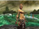 Guild Wars : Faction