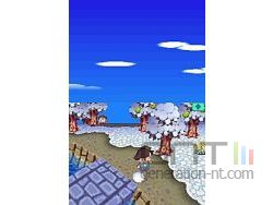 Animal Crossing Wild World Sreenshot 7