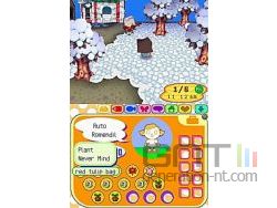 Animal Crossing Wild World Sreenshot 9
