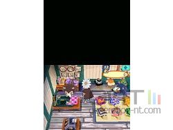 Animal Crossing Wild World Sreenshot 12