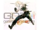 Illustration Yoshitaka Amano 8